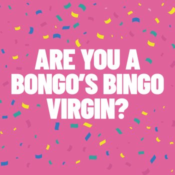 Bongo's Bingo Beginners Guide